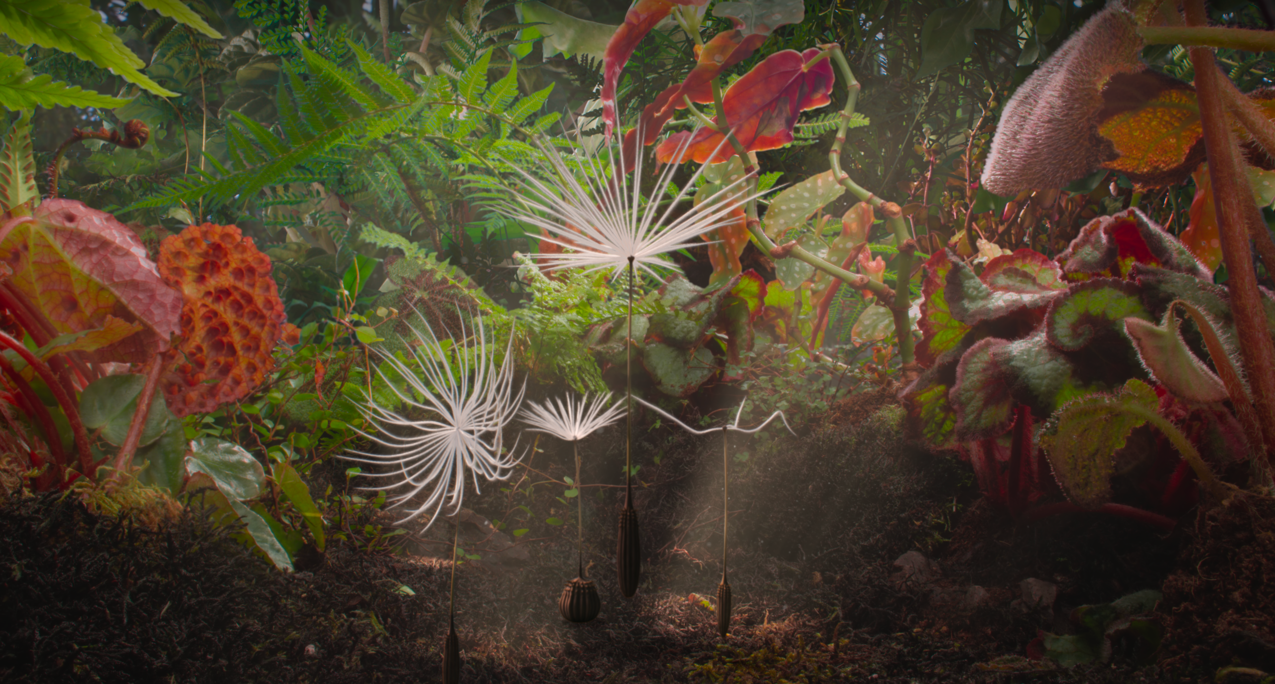 Critique du film Planètes de Momoko Seto